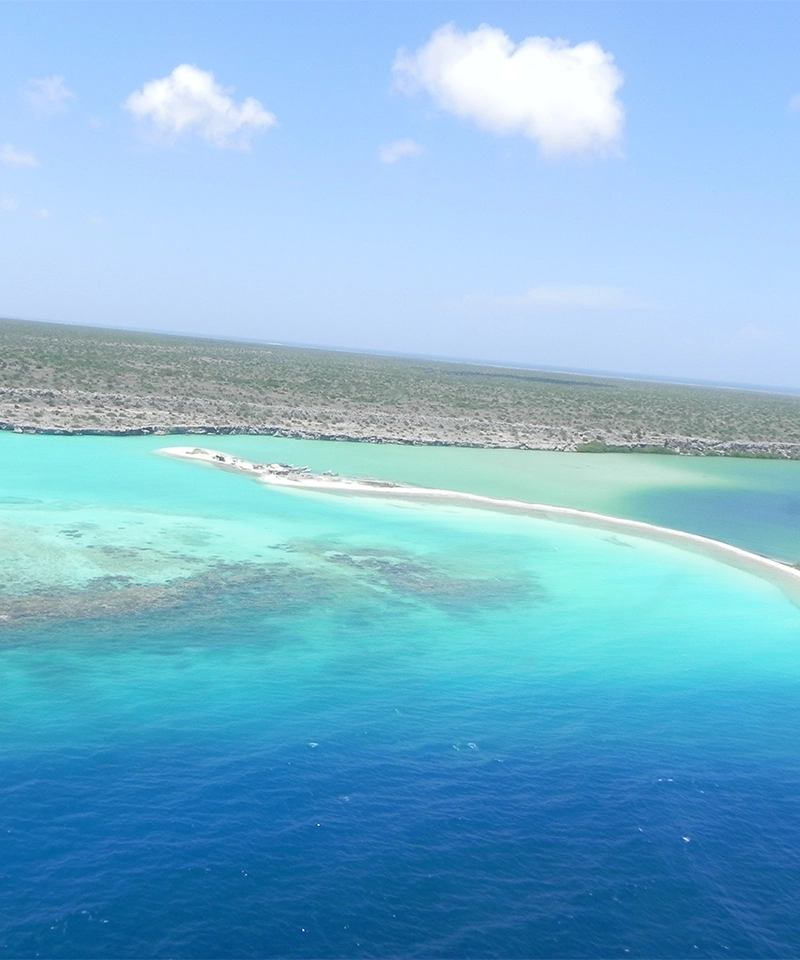 Tour Isla La Tortuga | Jaky Tours